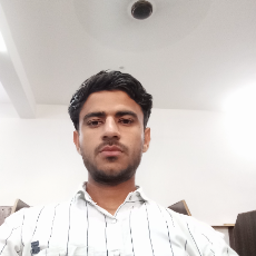 Rajnish Kumar Nain-Freelancer in Shri Dungargarh,India