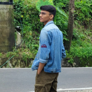 Rounak-Freelancer in pune,India