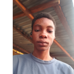 Osaremen Godsent-Freelancer in Benin City,Nigeria