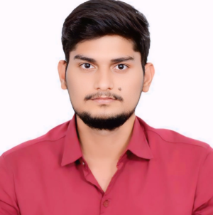Nagur Vali Shaik-Freelancer in Hyderabad,India