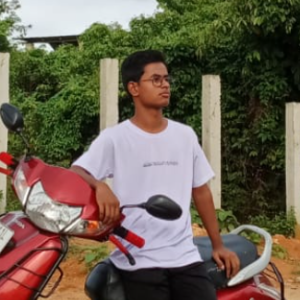 Mujtaba Hassan Laskar-Freelancer in Silchar,India