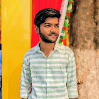 Gourav Rajput-Freelancer in Bhopal Division,India