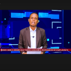 Wariye cabdi qadar kalgacal-Freelancer in Mogadishu,Somalia, Somali Republic