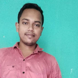 Nilay Bikash Mondal-Freelancer in Bhatpara,India