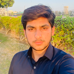 Ahmed Saleem-Freelancer in Rahim yar khan,Pakistan