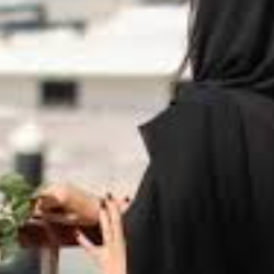 Office-Freelancer in jhelum,Pakistan