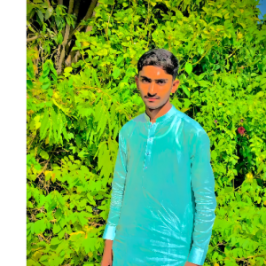 Jamal Hussain-Freelancer in Daira Din Panah,Pakistan