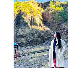 Mahnoor Mir-Freelancer in New Mirpur City,Pakistan