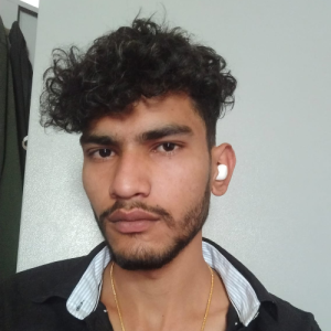 Pawan Meena-Freelancer in dausa,India