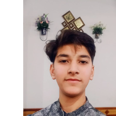 Aliyaan Hameed-Freelancer in Kāmoke,Pakistan