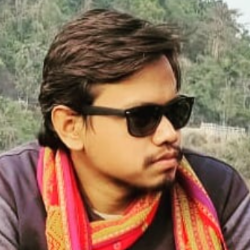 Padma Polash Phukan-Freelancer in Guwahati,India