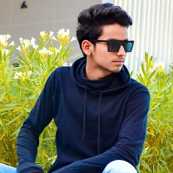 Bhimraj Nayak-Freelancer in Bhilwara,India
