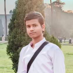Kaish Mansuri-Freelancer in New Delhi,India