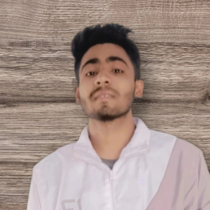 Deepak-Freelancer in Hempur Daya,India