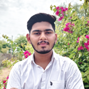 Amit kumawat-Freelancer in Jaipur,India