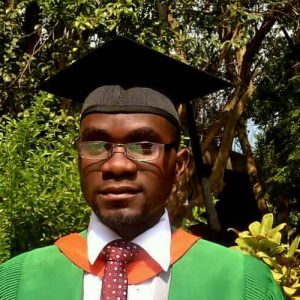 Brian Kawisha Namangolwa-Freelancer in Lusaka,Zambia