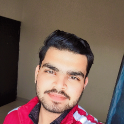 Nakul Malik-Freelancer in New Delhi,India