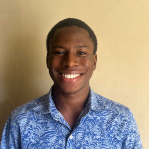 Adedini Aremu-Freelancer in Lagos,Nigeria