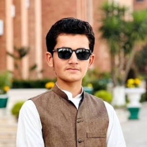 Hussain Bisharat-Freelancer in Shikarpur,Pakistan