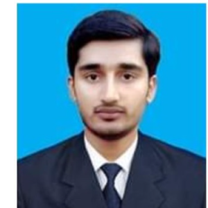 Ameer Hamza-Freelancer in Sargodha,Pakistan