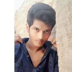 Sahil Kumar-Freelancer in Hajipur,India