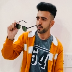 Vikram Singh-Freelancer in Hisar,India