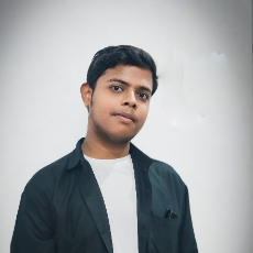 Saugat Singhal-Freelancer in Tanda,India