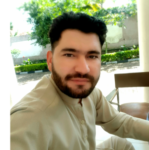 Mairaj Amir-Freelancer in Islamabad,Pakistan
