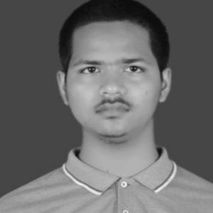 Himanshu Kumar-Freelancer in Ghaziabad,India