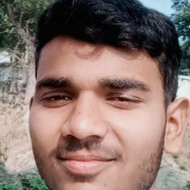 Meraj Ansari-Freelancer in Mughalsarai,India