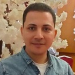 Mohamed Hussein-Freelancer in Banī Suwayf,Egypt