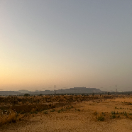 Ayesha Maneyar-Freelancer in Hyderabad,India