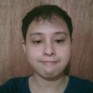 Neil Anthony Abalajon-Freelancer in Bacolod City,Philippines