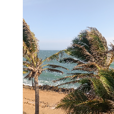 Maddy K-Freelancer in California,India