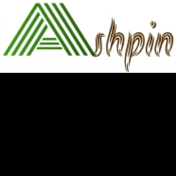 Ashpin Technologies-Freelancer in Delhi,India