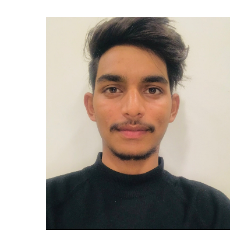 Nitesh Grover-Freelancer in Panipat,India