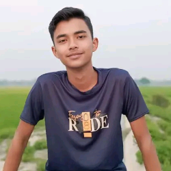 Mojahid Islam-Freelancer in Rangpur,Bangladesh