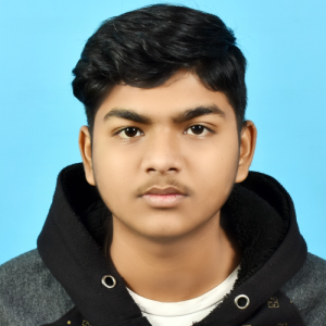 Shivam Raj-Freelancer in Patna,India
