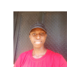 David Diepiriye-Freelancer in Port Harcourt,Nigeria