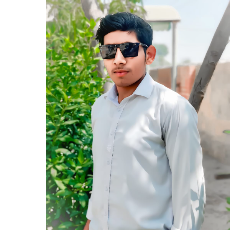 Hanan Gee-Freelancer in Bahawalpur,Pakistan