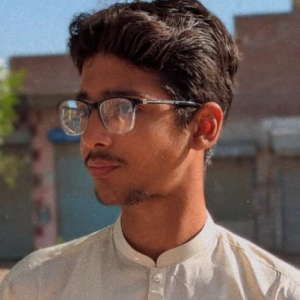 Doctor H-Freelancer in Faisalabad,Pakistan
