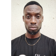OBIZZYINTHEBUILDING-Freelancer in Gwarinpa,Nigeria