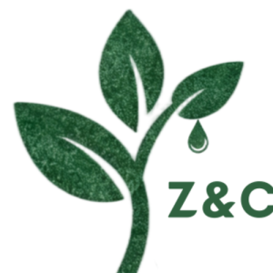 Dong Xizeng-Freelancer in Baoding City, Hebei Province,China