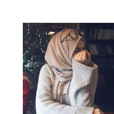 Amina Faisal-Freelancer in Havelian,Pakistan
