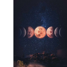 Areeba Jawed-Freelancer in Karachi,Pakistan