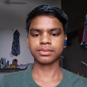 Kundan Kumar-Freelancer in Supaul,India