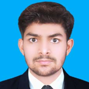 Zeeshan Abbas-Freelancer in ,Pakistan