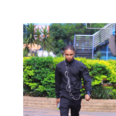 Shane C-Freelancer in Johannesburg,South Africa