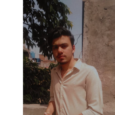 Mohammad Anas-Freelancer in Lahore,Pakistan