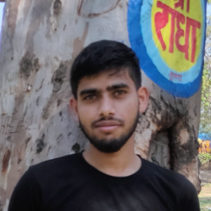 Nitish Kumar-Freelancer in Noida,India